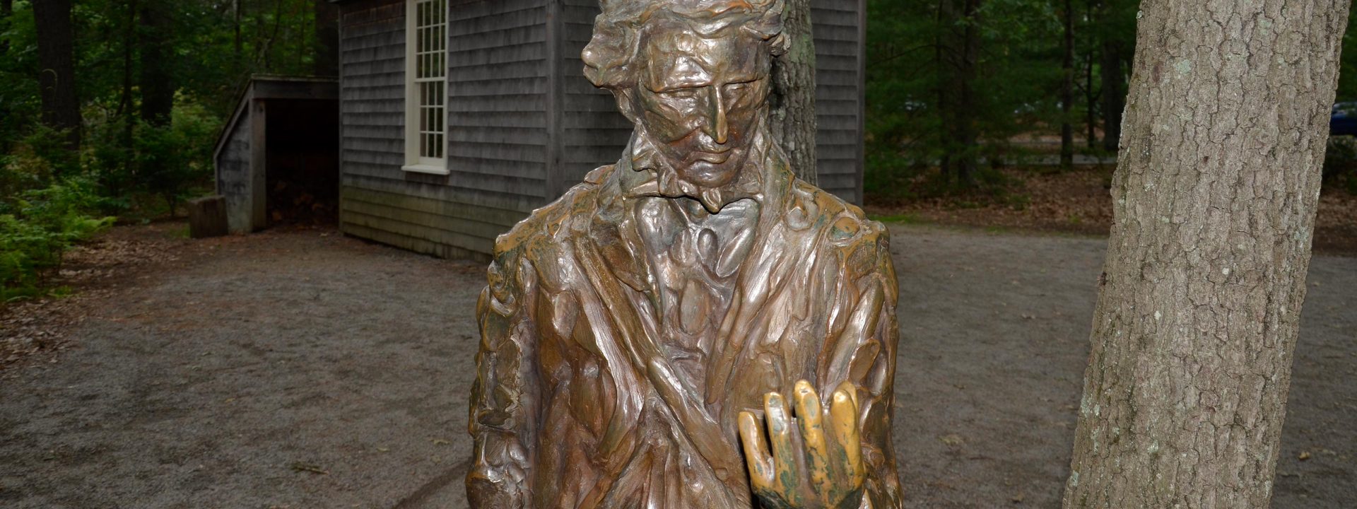 Activity: Explore the Past