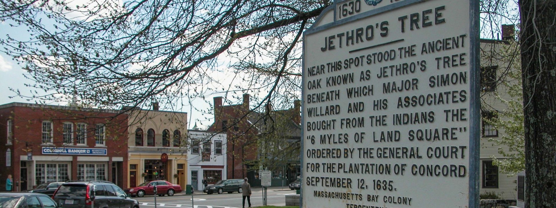 Towns: Concord (Jethro’s Tree)